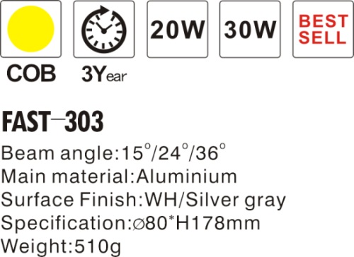FAST-303-.JPG