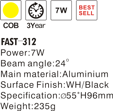 FAST-312---.png