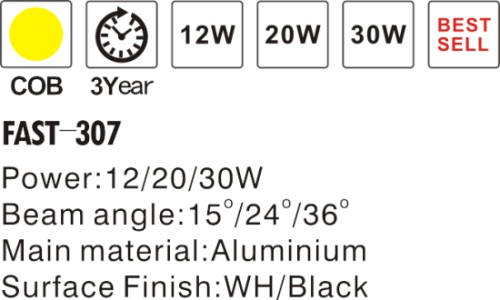 FAST-307--.JPG