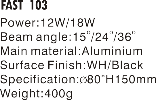 FAST-103-.png
