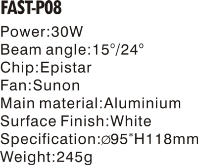 FAST-P08- (2).png