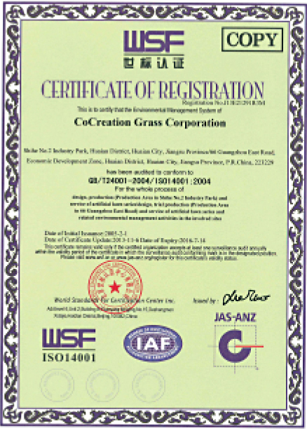 WSF Certificate T24001 2004