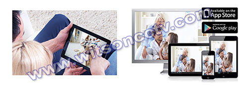 Cell Phone.jpg Cell Phone.jpg