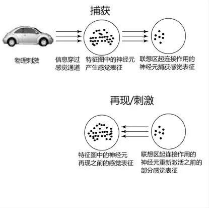 大家都用Kindle压泡面，背后是电子书的溃败｜深度