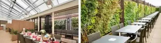 一家日本小购物中心，如何深耕实体，每日客流量8万
