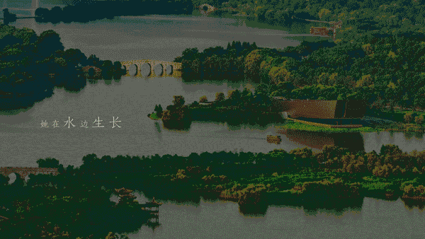 这九条高铁下个月即将开通！你的家乡要火了！