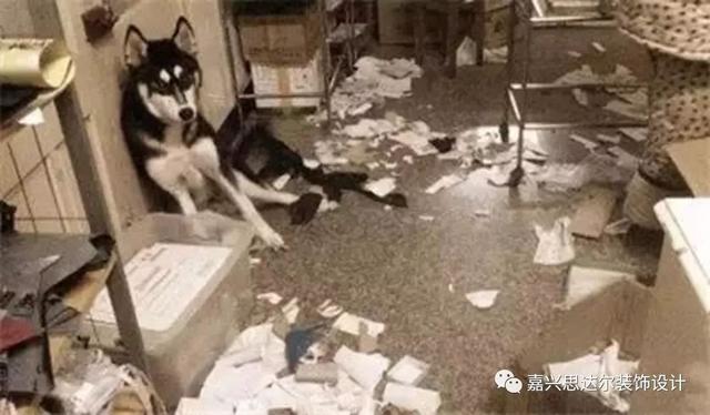 智能家居真的那么智能？真的万无一失？