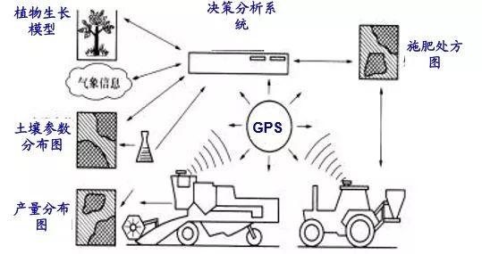 当农业遇上黑科技,保准你没见过