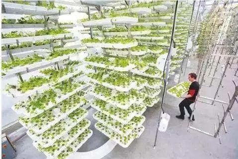 当农业遇上黑科技,保准你没见过