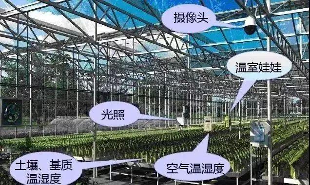 当农业遇上黑科技,保准你没见过