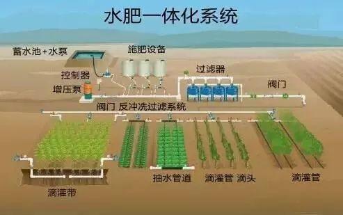 当农业遇上黑科技,保准你没见过