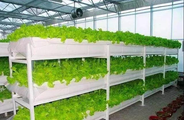 当农业遇上黑科技,保准你没见过