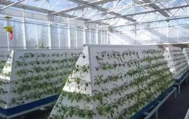 当农业遇上黑科技,保准你没见过