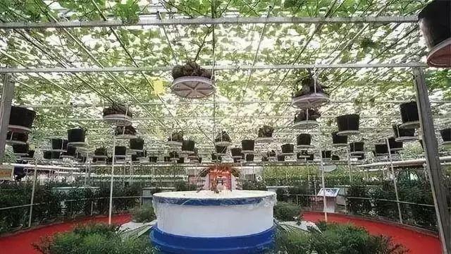 当农业遇上黑科技,保准你没见过
