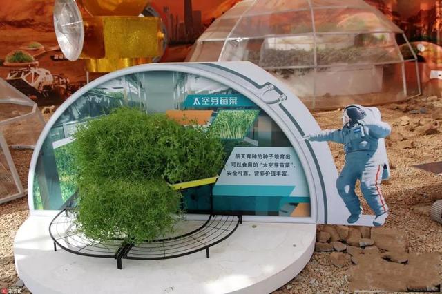 当农业遇上黑科技,保准你没见过