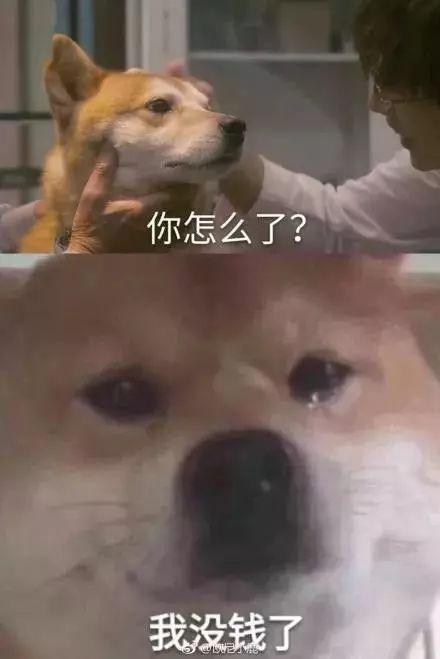 淘宝退款居然崩了，今年过了一个别样的淘宝狂欢节