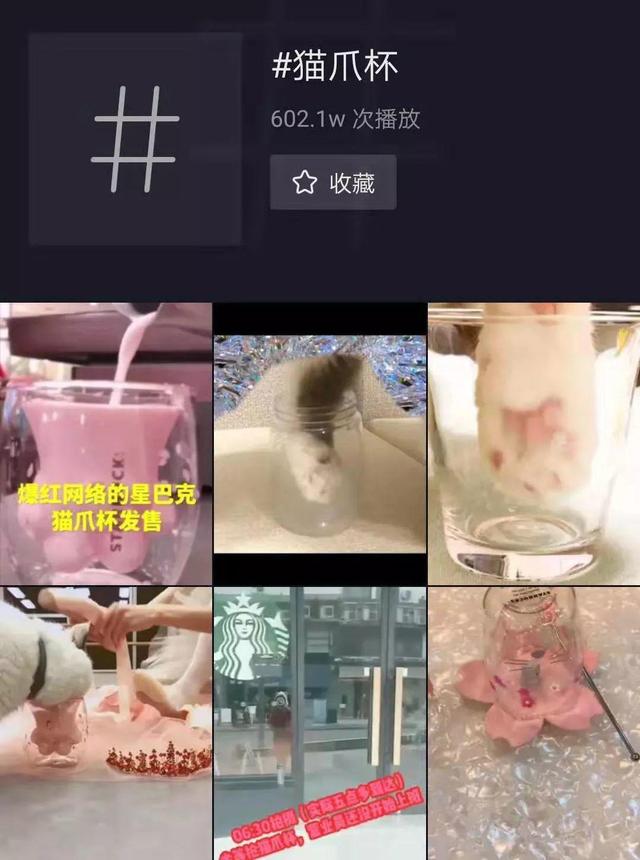 疯抢星巴克猫爪杯是怎么回事？为什么突然这么火？