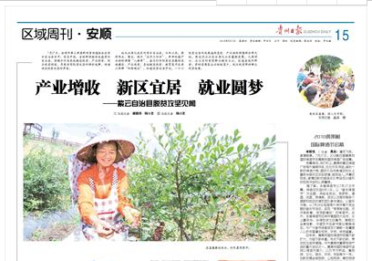 产业增收,新区宜居,就业圆梦——紫云自治县脱贫攻坚见闻
