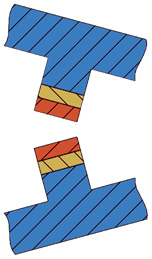 1548137927029034516.jpg