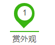1533286963249007286.png