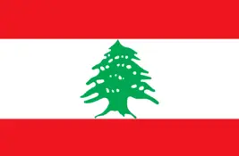 Lebanon<br>Allchem<br>Add: Tayouneh Round About-Badaro 4 Building 1st floor Beirut-Lebanon<br>Tel: +961 1 39 55 01