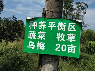 泽润猪场