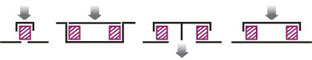 1545709416855022818.jpg