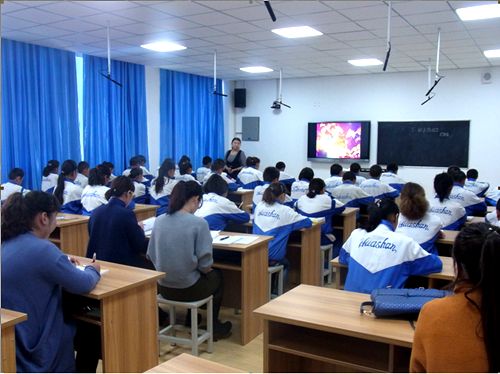 高中生物学科教学与信息技术的有效整合思考