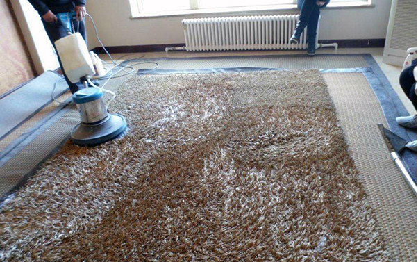 了解地毯清洗