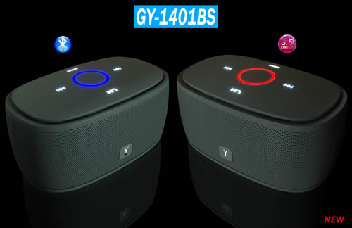GY-1401BS