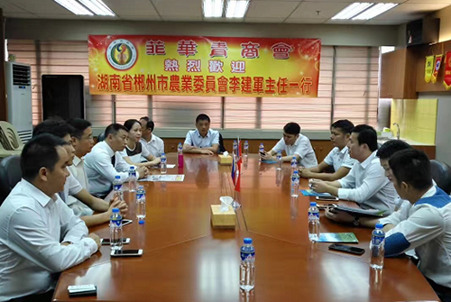 Assisting Binzhou City to attract investment promotion in Southeast Asia