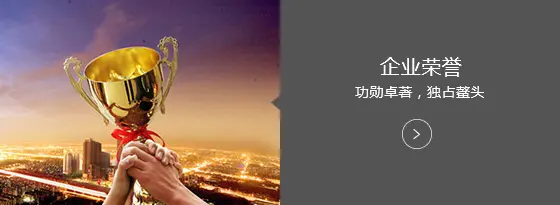 企业荣誉