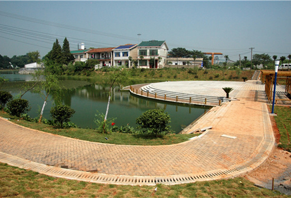 新康河改造