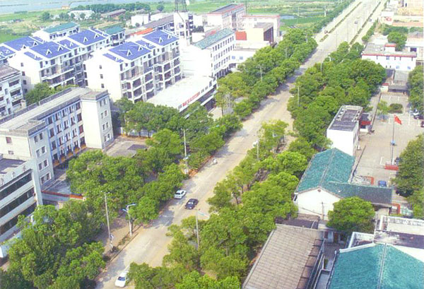 新康新陽公路