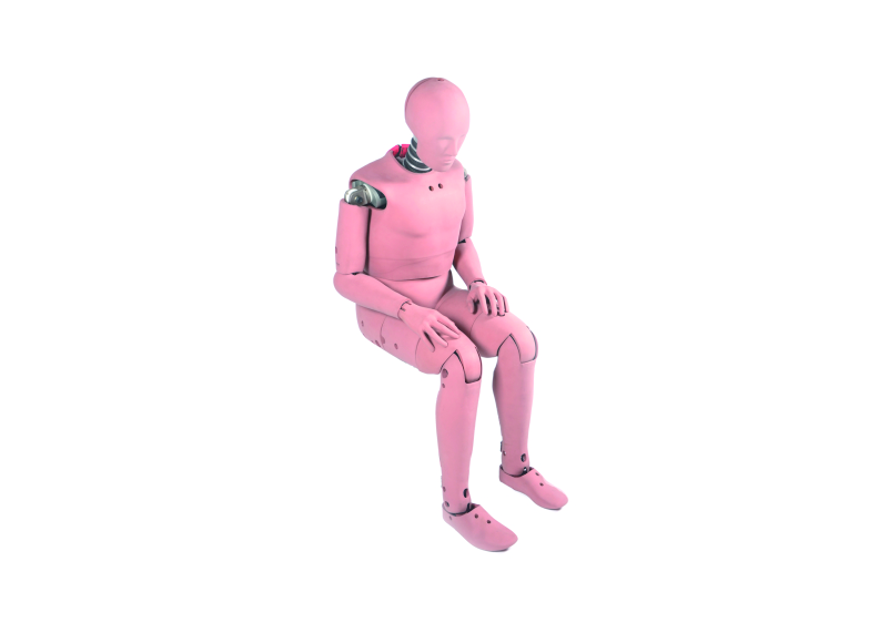 Hybrid Ⅲ 50百分位男性假人