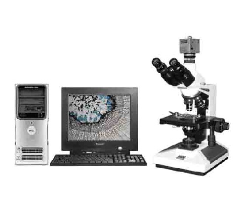 图像生物显微镜