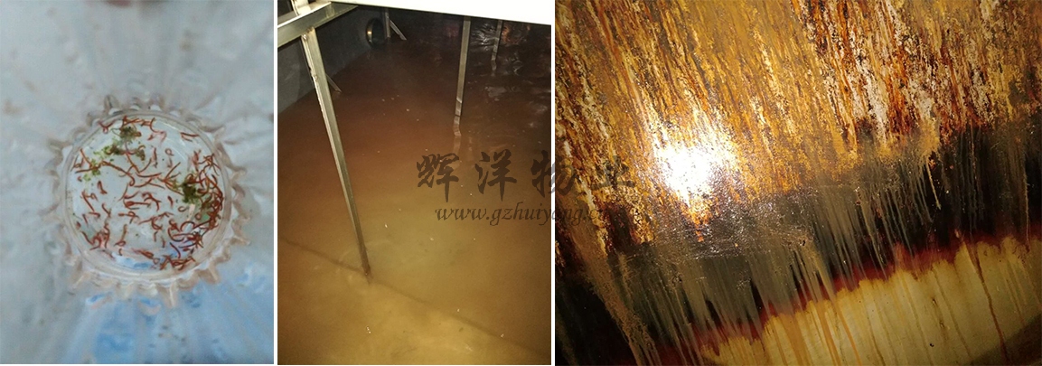 红虫、水池.jpg 1582881399578031832.jpg