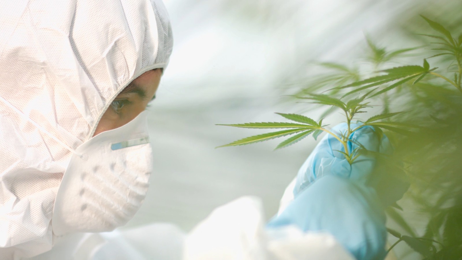 医用面膜生产厂家