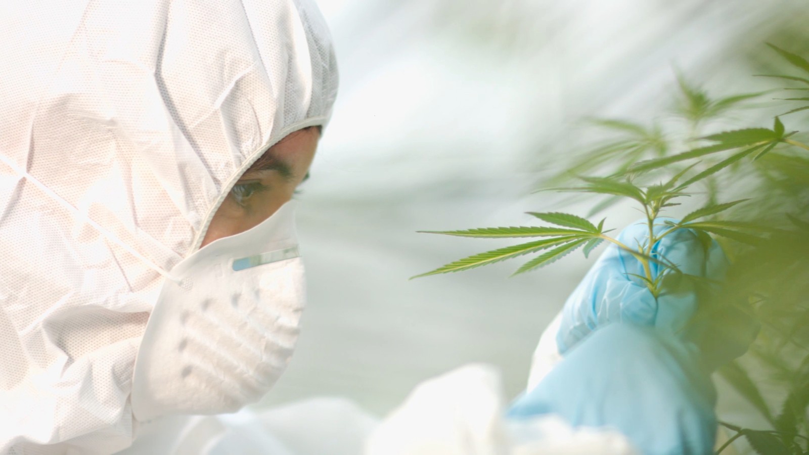 中药面膜代加工厂