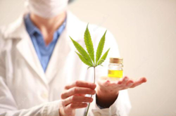 大牌化妆品生产