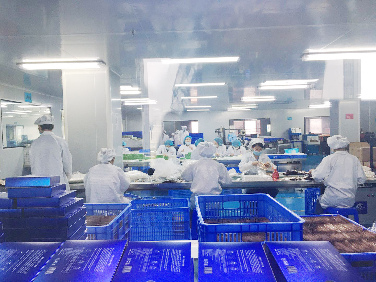 洗发水加工化妆品代工厂家