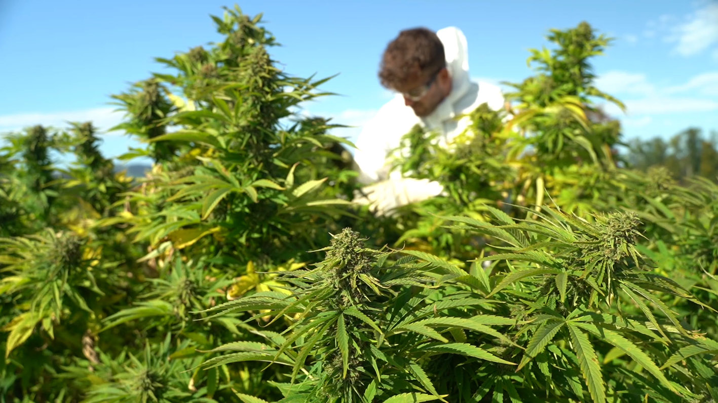 专业生产面膜的厂家