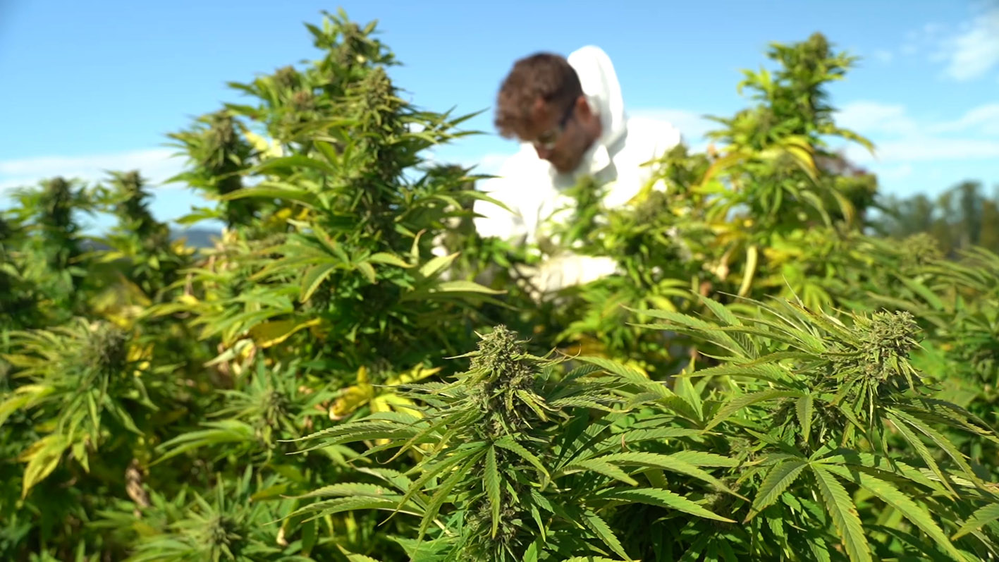 好的化妆品加工厂家