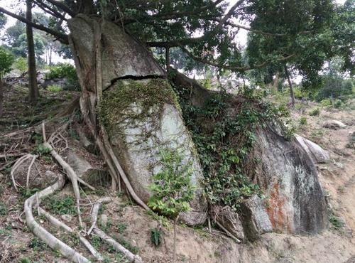 面膜厂家