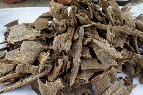 面膜贴牌厂家
