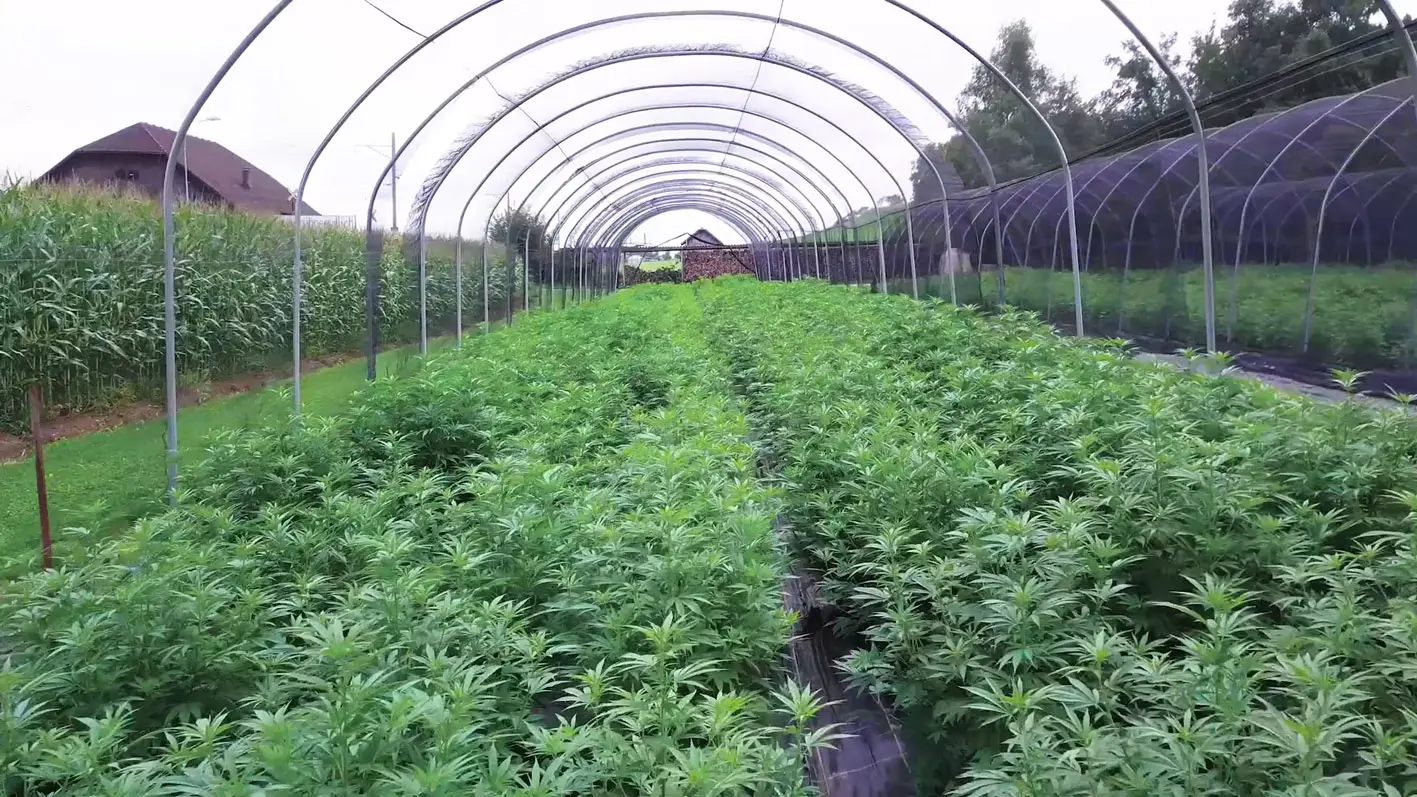 化妆品中国厂家