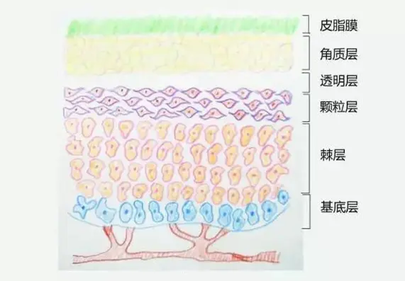 护肤品精华液代加工