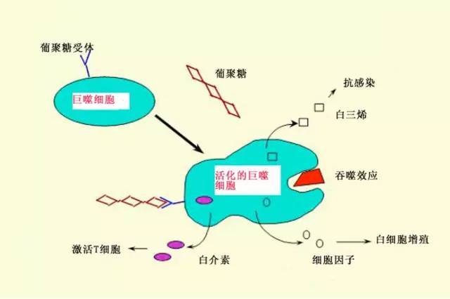 化妆品代加工面膜加工