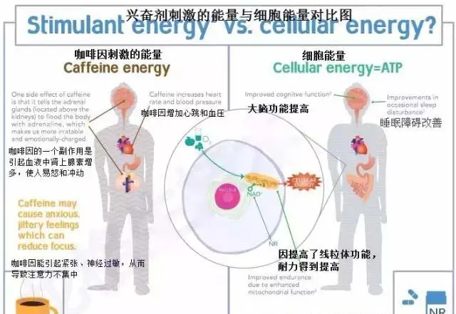 化妆品odm的成本