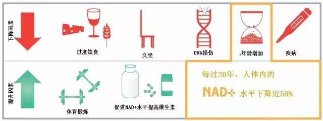 代加工生产护肤品
